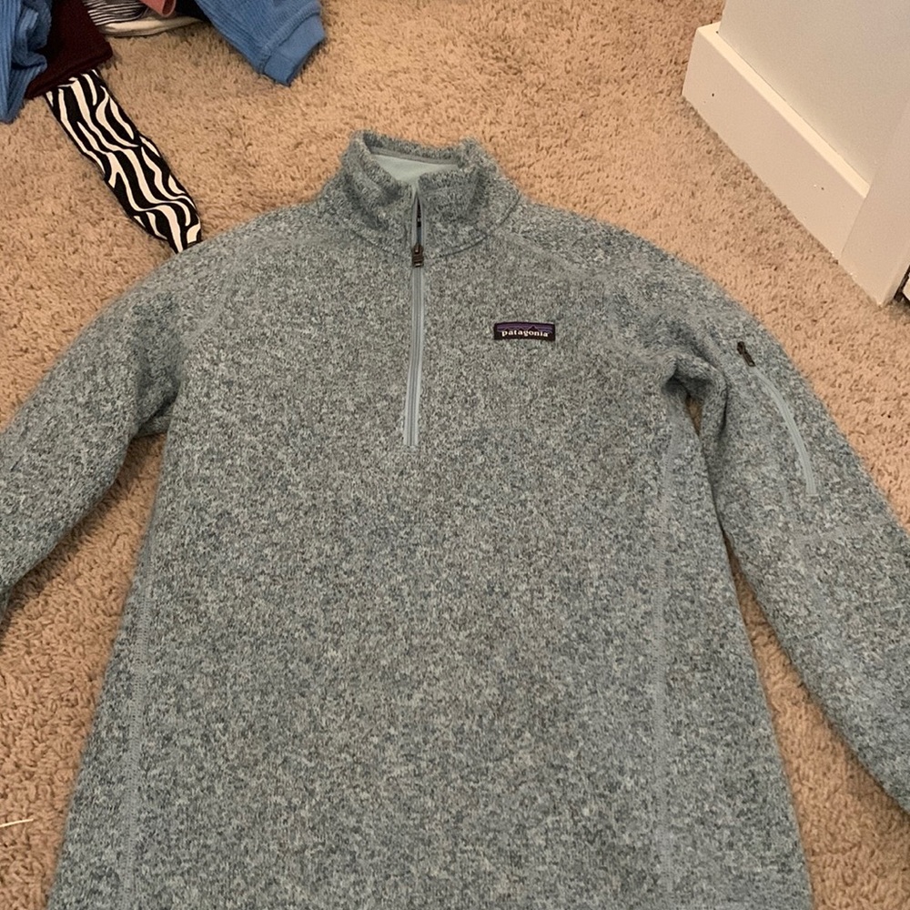 Patagonia sweatshirt